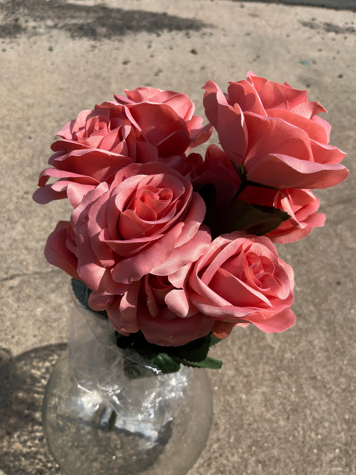 Color Fast Lillian Open Rose Bush x 12 - 30388CANTA