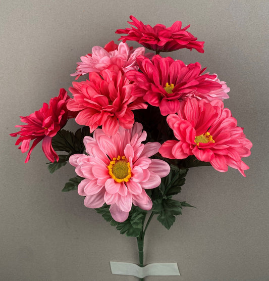 GERBER DAISY X 12 BEAUTY MIX - 71312