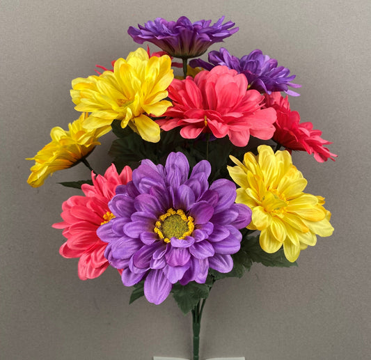 GERBER DAISY X 12 PURPLE, BEAUTY AND YELLOW - 71314