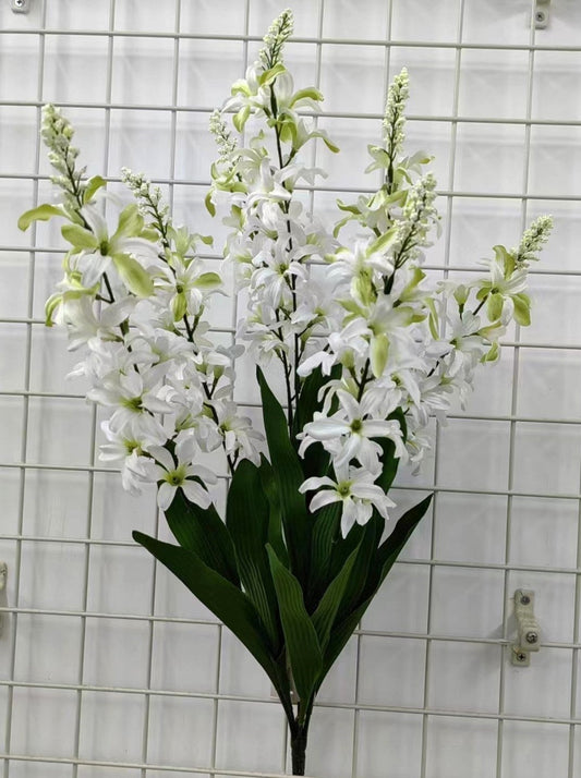 HYACINTH X7 WITH BERRY CREAM - 71421