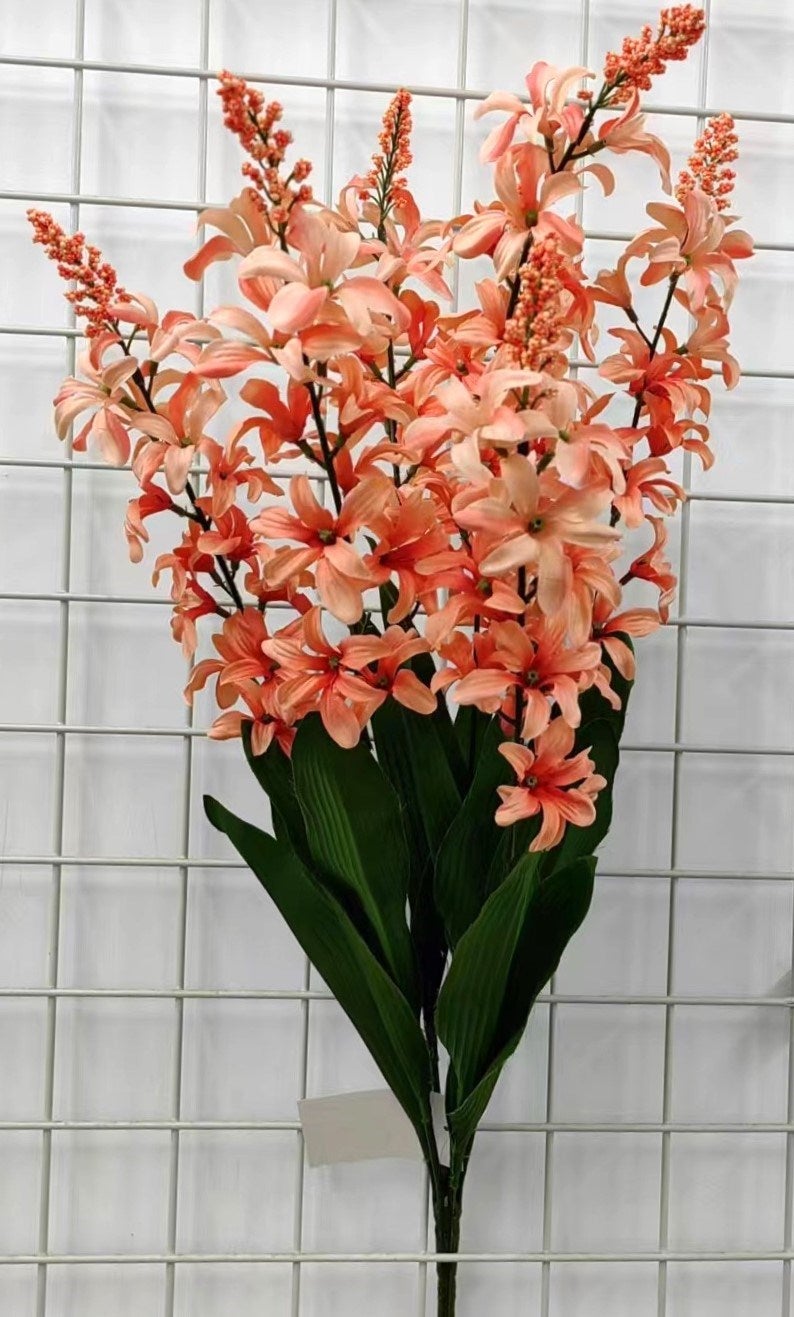 HYACINTH X7 WITH BERRY PEACH - 71423