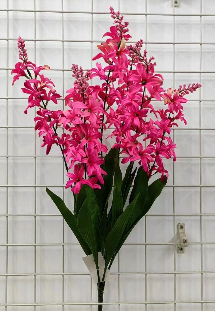 HYACINTH X7 WITH BERRY BEAUTY - 71425