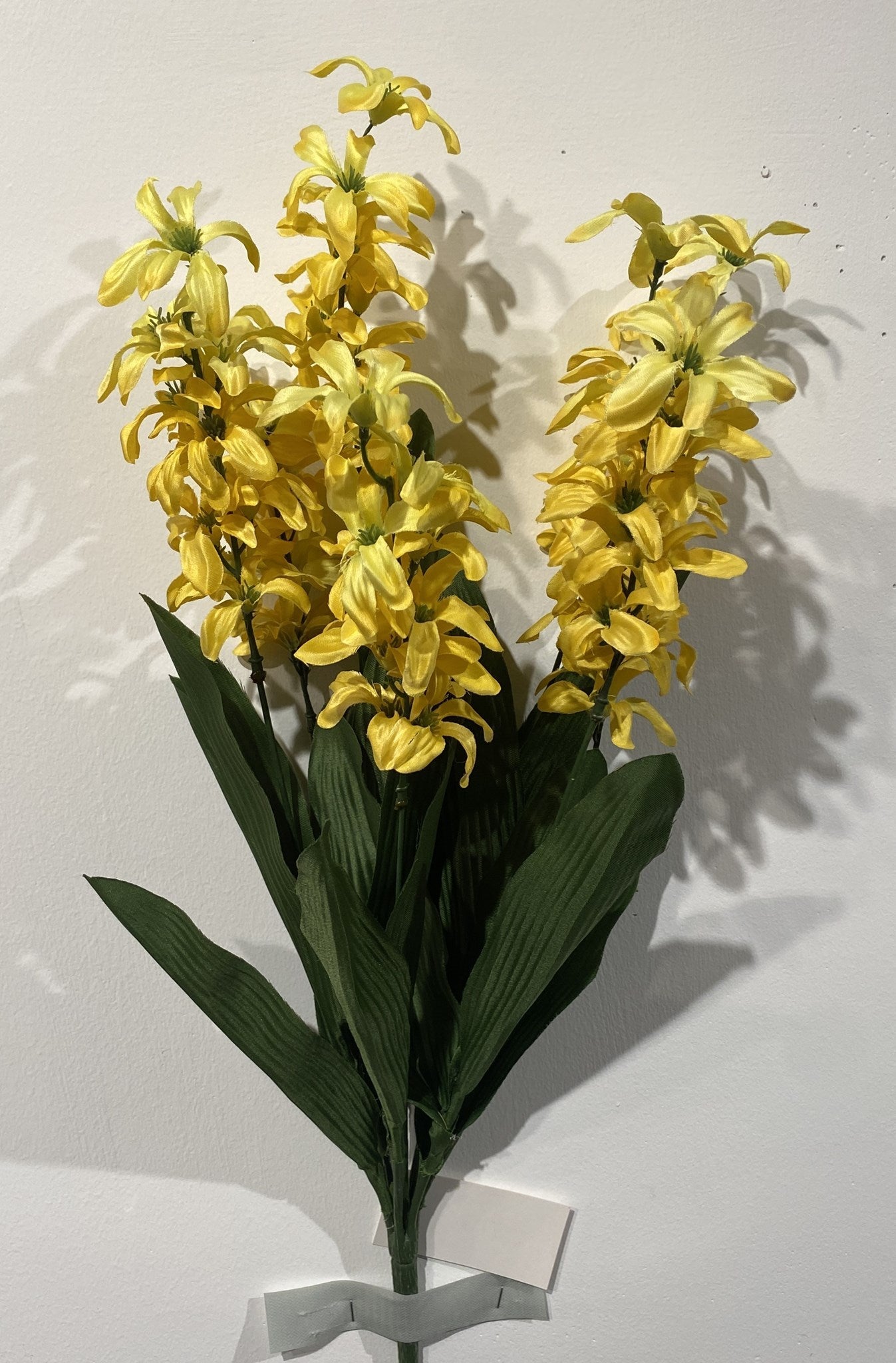 HYACINTH X7 WITH BERRY YELLOW - 71426