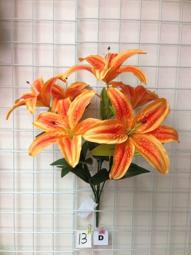 CASABLANCA LILY X7 ORANGE - 73153