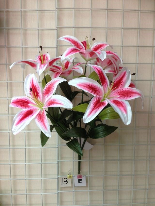 CASABLANCA LILY X7 RUBY- 73155
