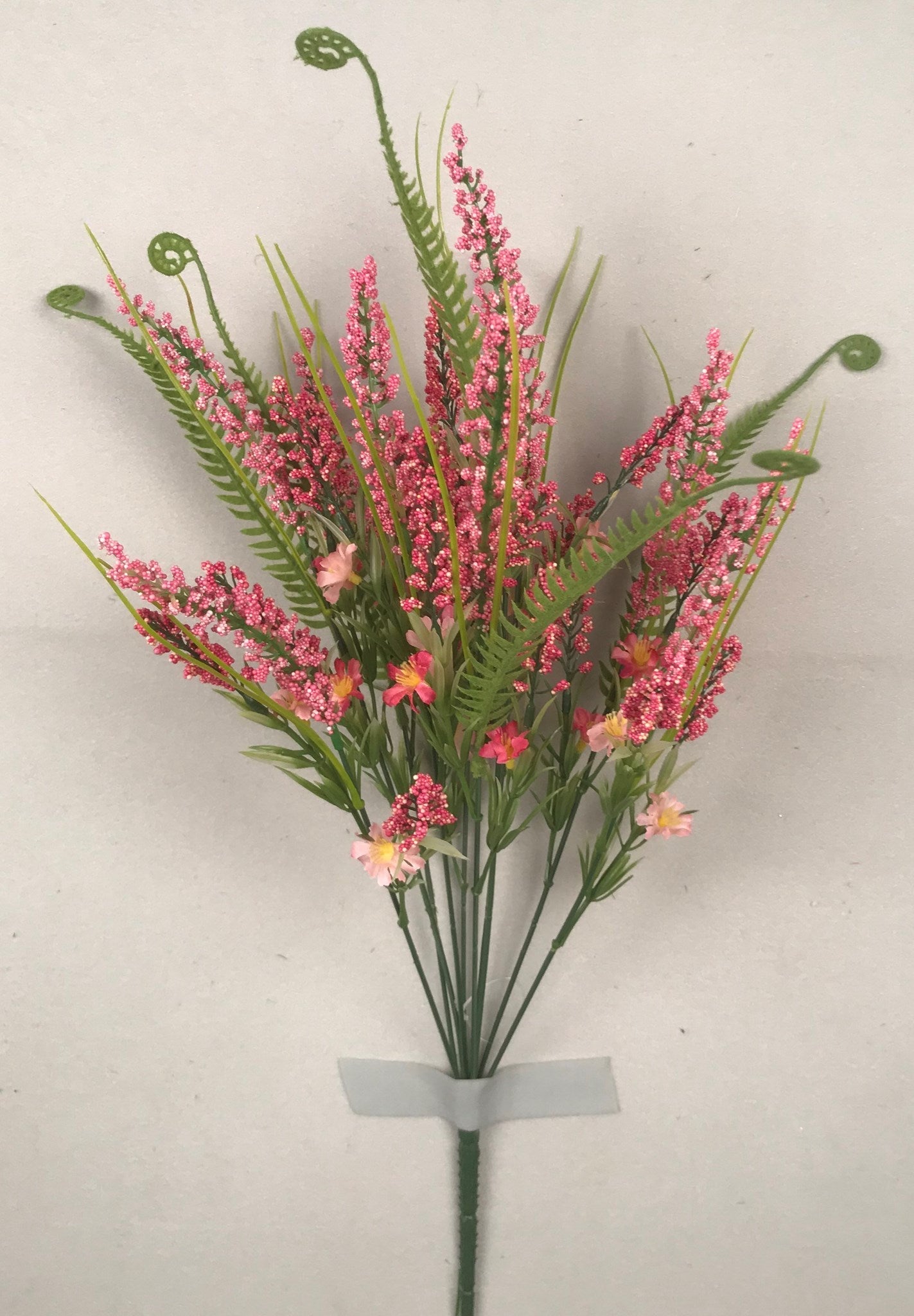 BERRY BUSH X 10 PINK AND BEAUTY - 73885