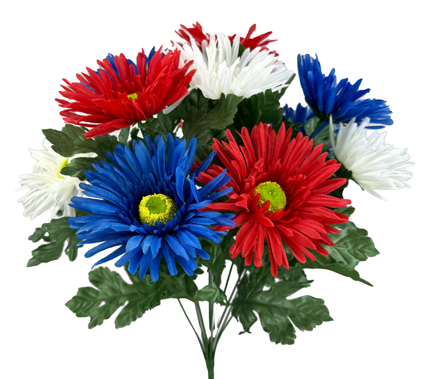 Daisy Mum Bush x 12 H19 - 74247RWB