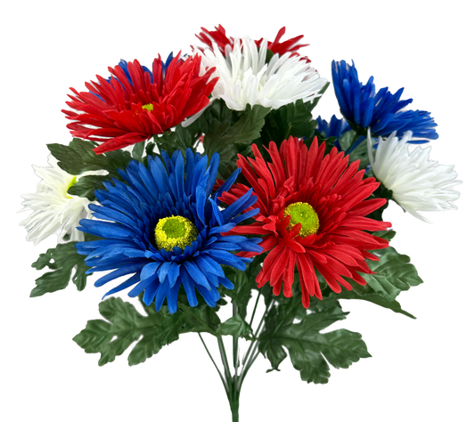 Daisy Mum Bush x 12 H19 - 74247RWB