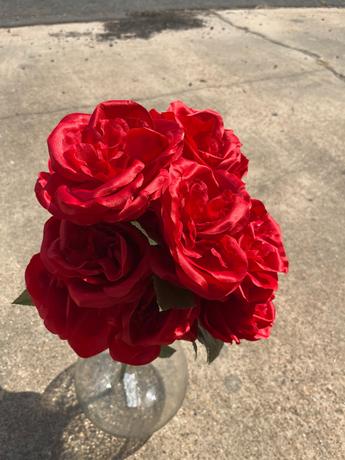 22" ROSE BUSH X 14-RED
