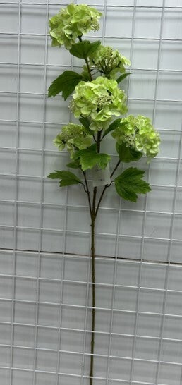 HYDRANGEA LARGE SPRAY X5 GREEN - 79434