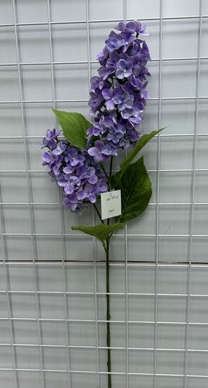 CONE HYDRANGEA X 2 PURPLE - 79442