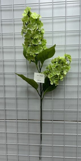 CONE HYDRANGEA X 2 GREEN - 79444