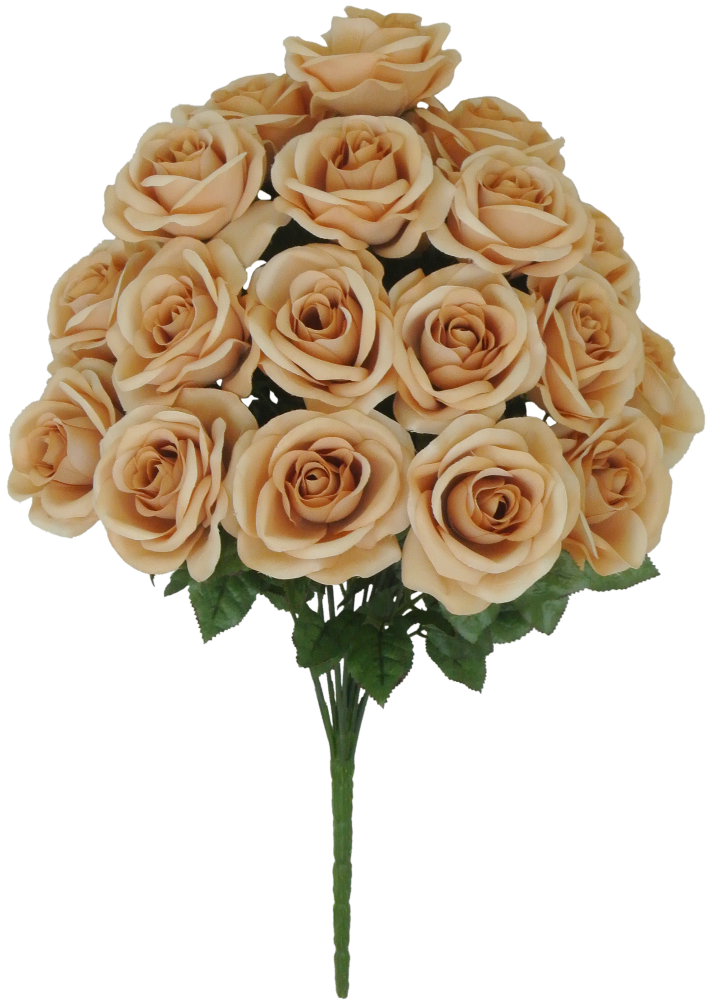22 IN MIRCO PEACH ROSE BUSH X - 80194-COFFEE