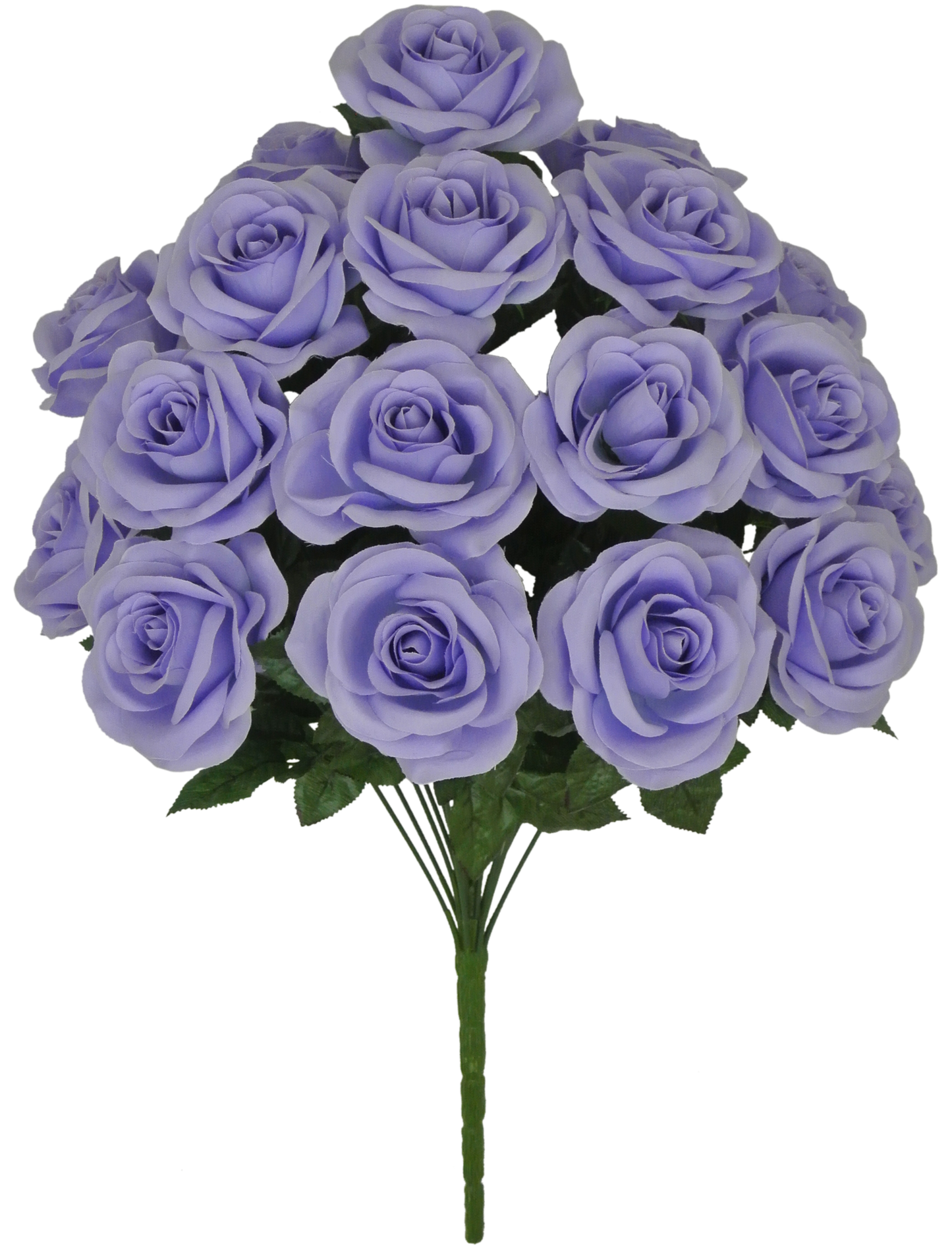 22 IN MIRCO PEACH ROSE BUSH X 18 - 80194-LV