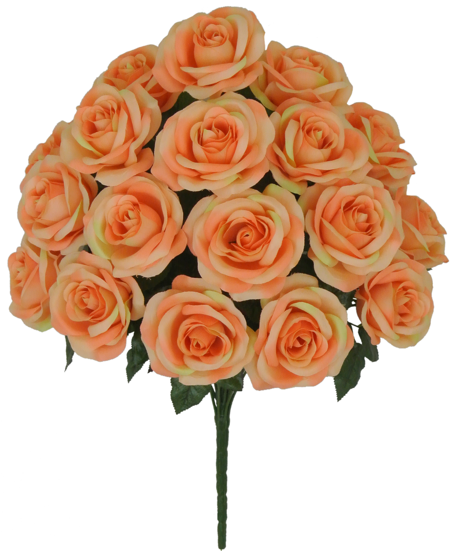 22 IN MIRCO PEACH ROSE BUSH X 18 - 80194-PH