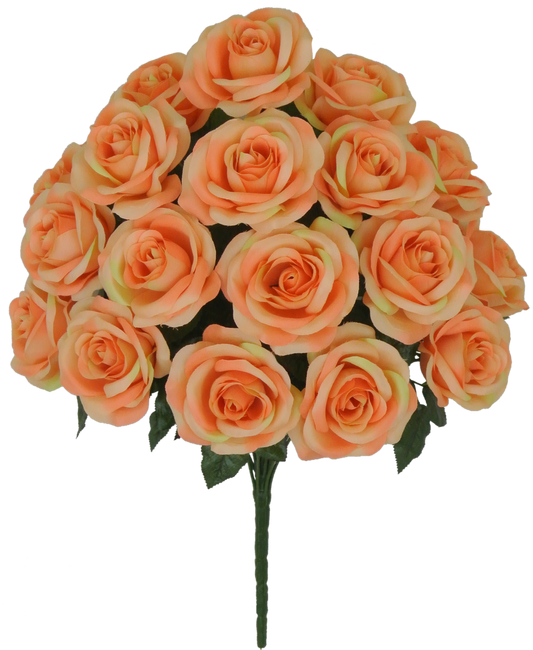 22 IN MIRCO PEACH ROSE BUSH X 18 - 80194-PH