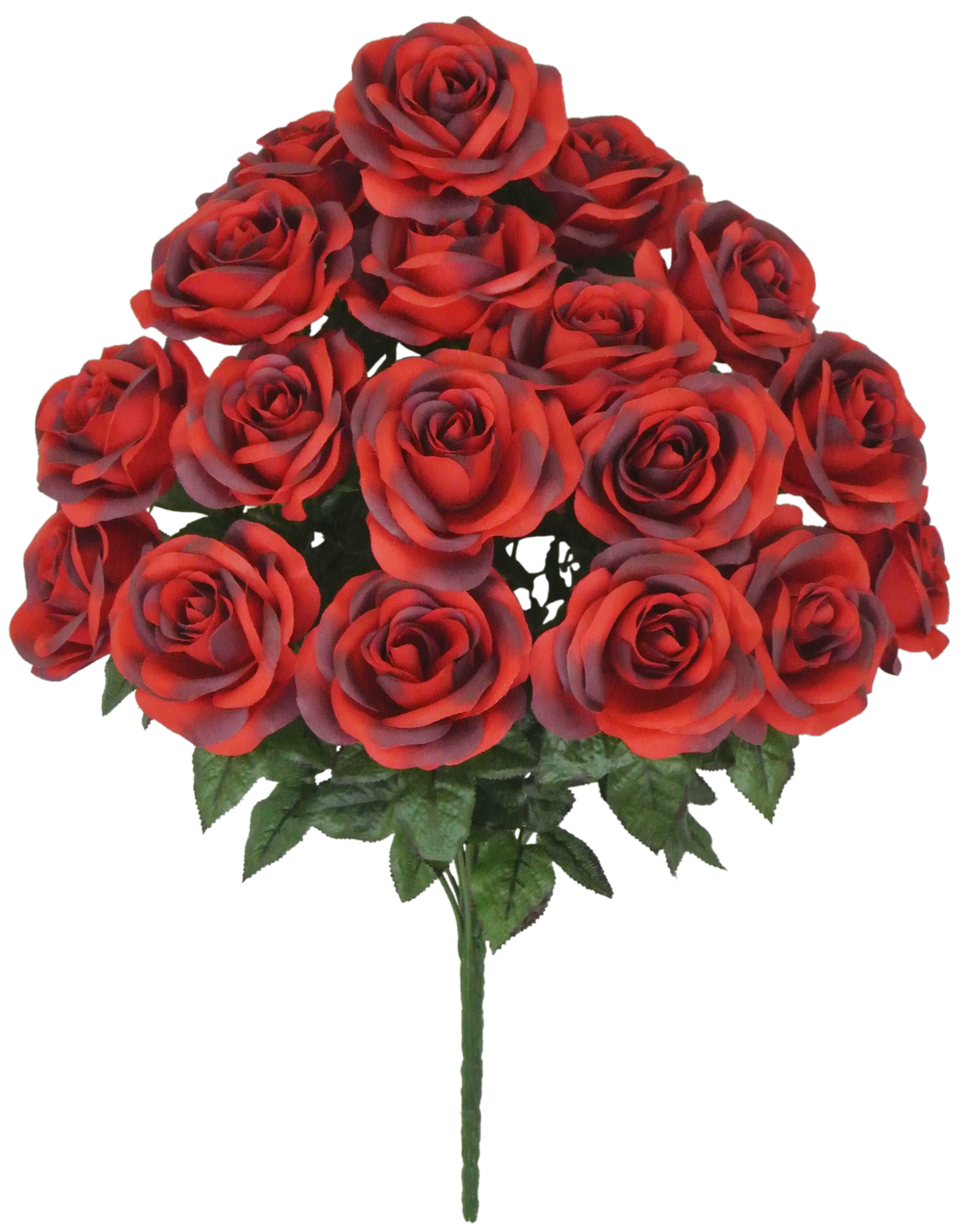 22 IN MIRCO PEACH ROSE BUSH X 18 - 80194-RD BLK