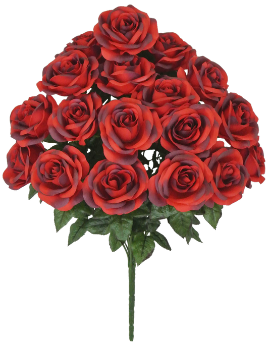 22 IN MIRCO PEACH ROSE BUSH X 18 - 80194-RD BLK