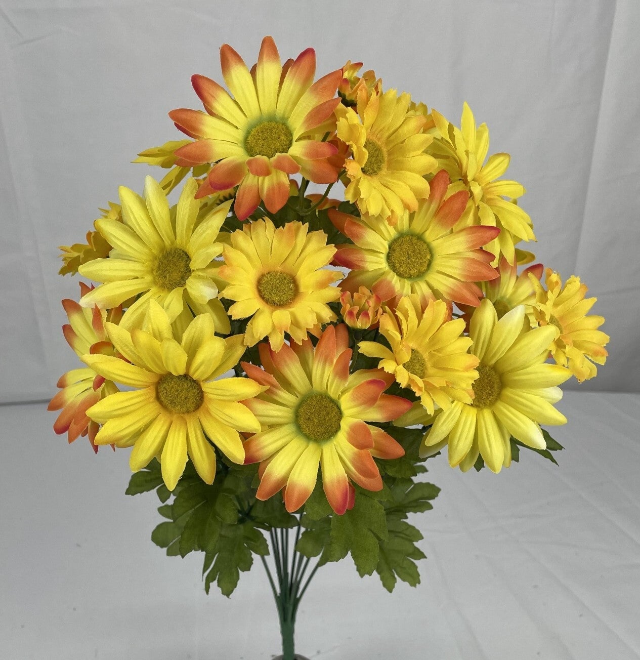DAISY BUSH X 11 YELLOW AND ORANGE - 81772