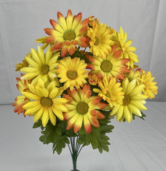 DAISY BUSH X 11 YELLOW AND ORANGE - 81772