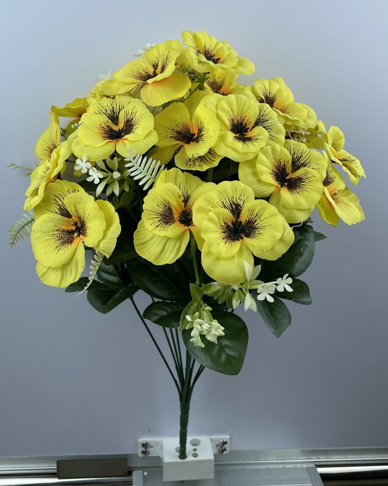 PANSY BUSH X 12 YELLOW - 81821