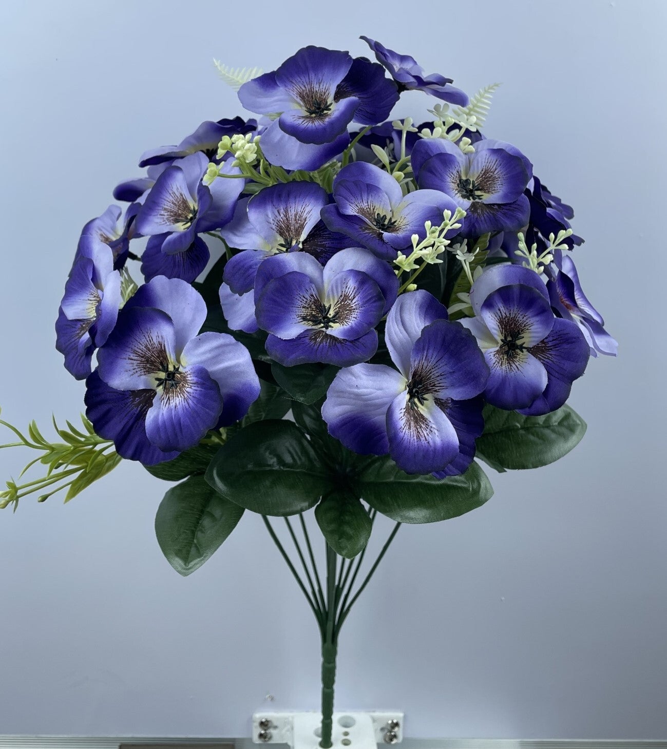 PANSY BUSH X 12 PURPLE - 81822