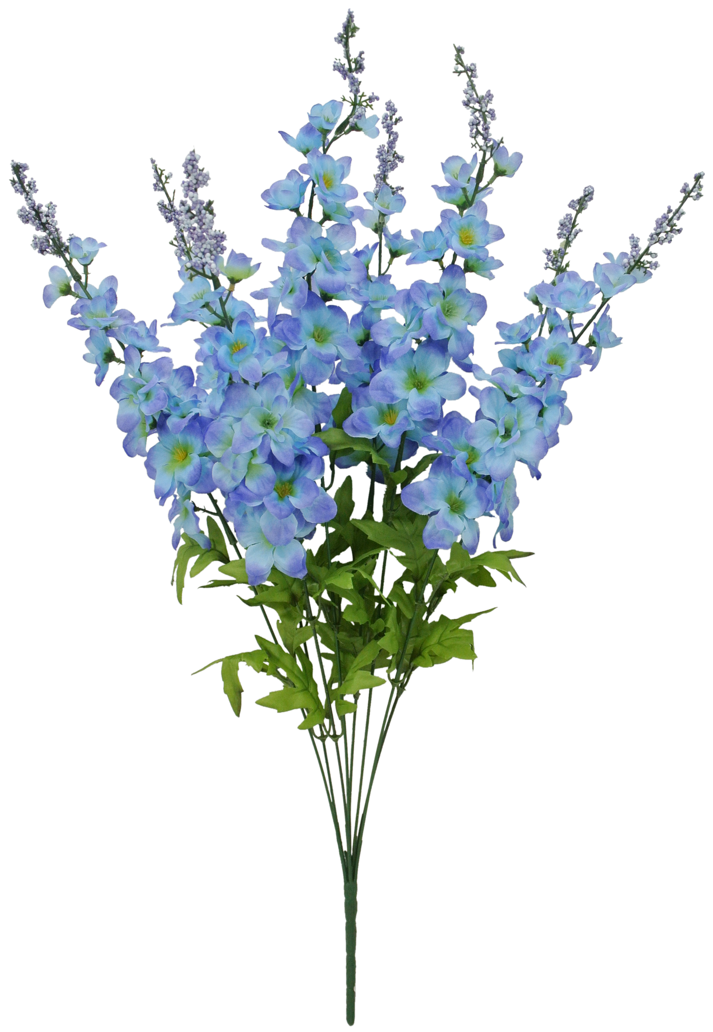 27 Delphinium BUSH X 8 - 83401-BL