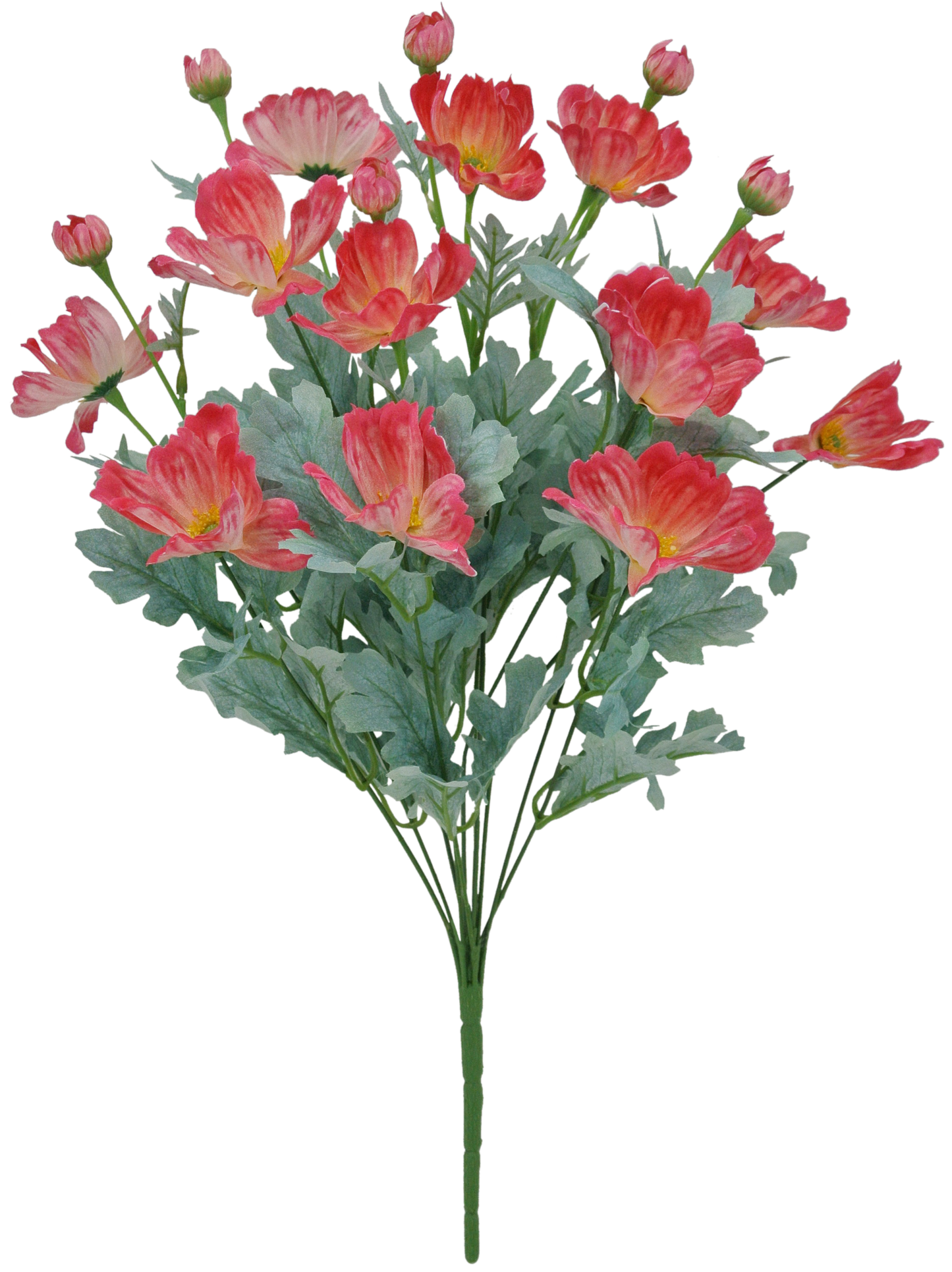 22 IN BEAUTY COSMOS BUSH X 12 - 84299-BTY