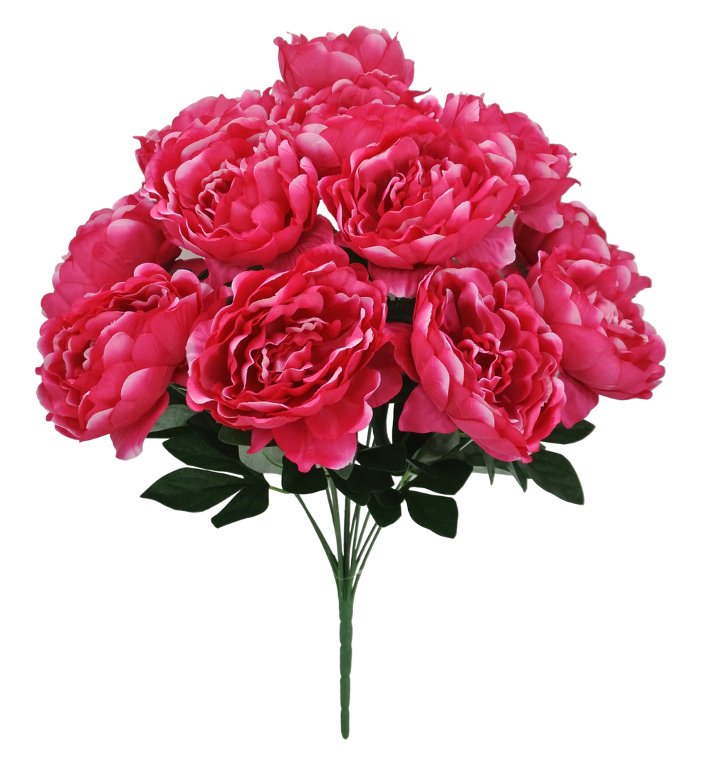 20 IN PEONY BUSH X 12 - 84859-FU