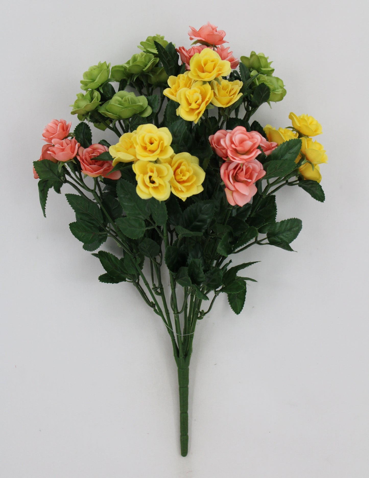 85487-GNYELPH 15 MINI ROSE BUSH X 9