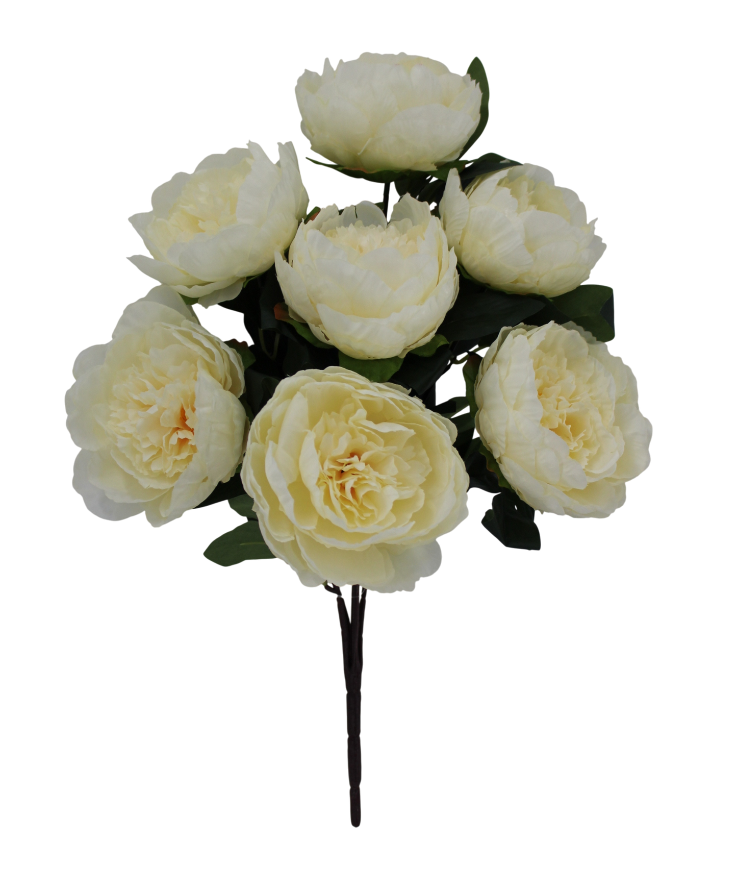 21 IN PEONY BUSH X 7 -85686-CR