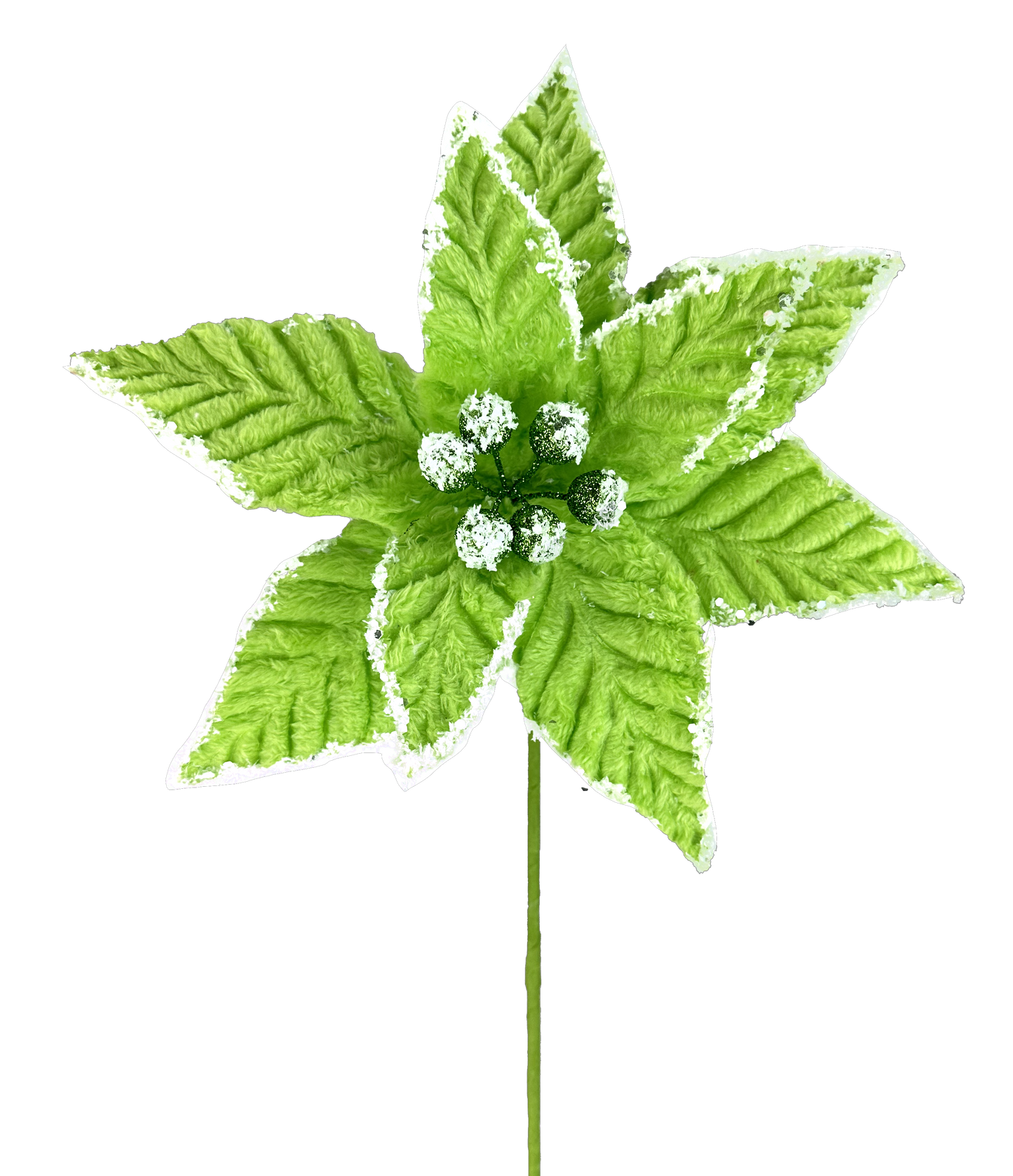 Poinsettia Pick H20xDIA11-Green-86030GN