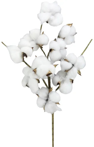 24"L SUPER POD SPRAY-NATURAL-FH7780