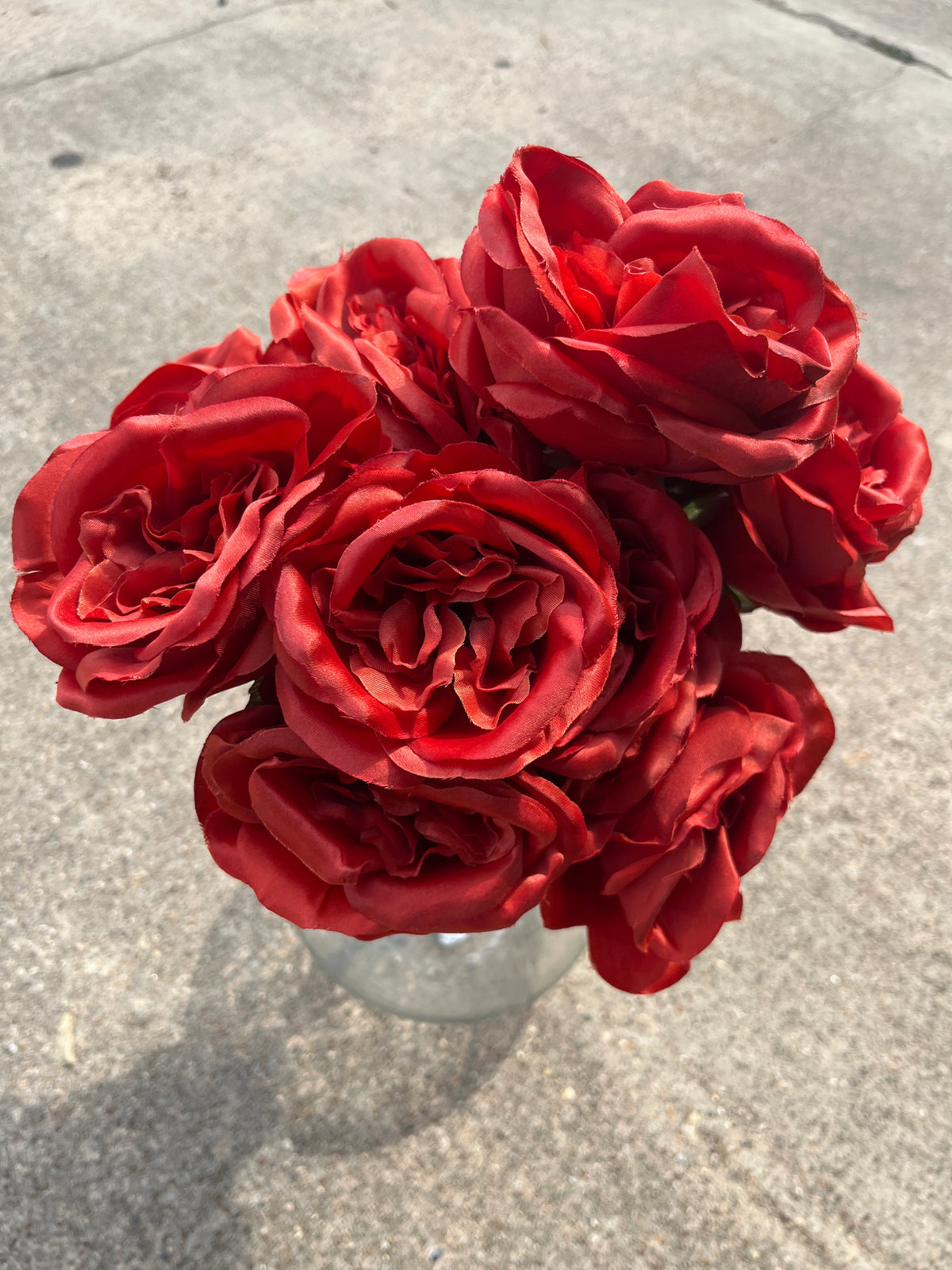 22" ROSE BUSH X 14-RUST