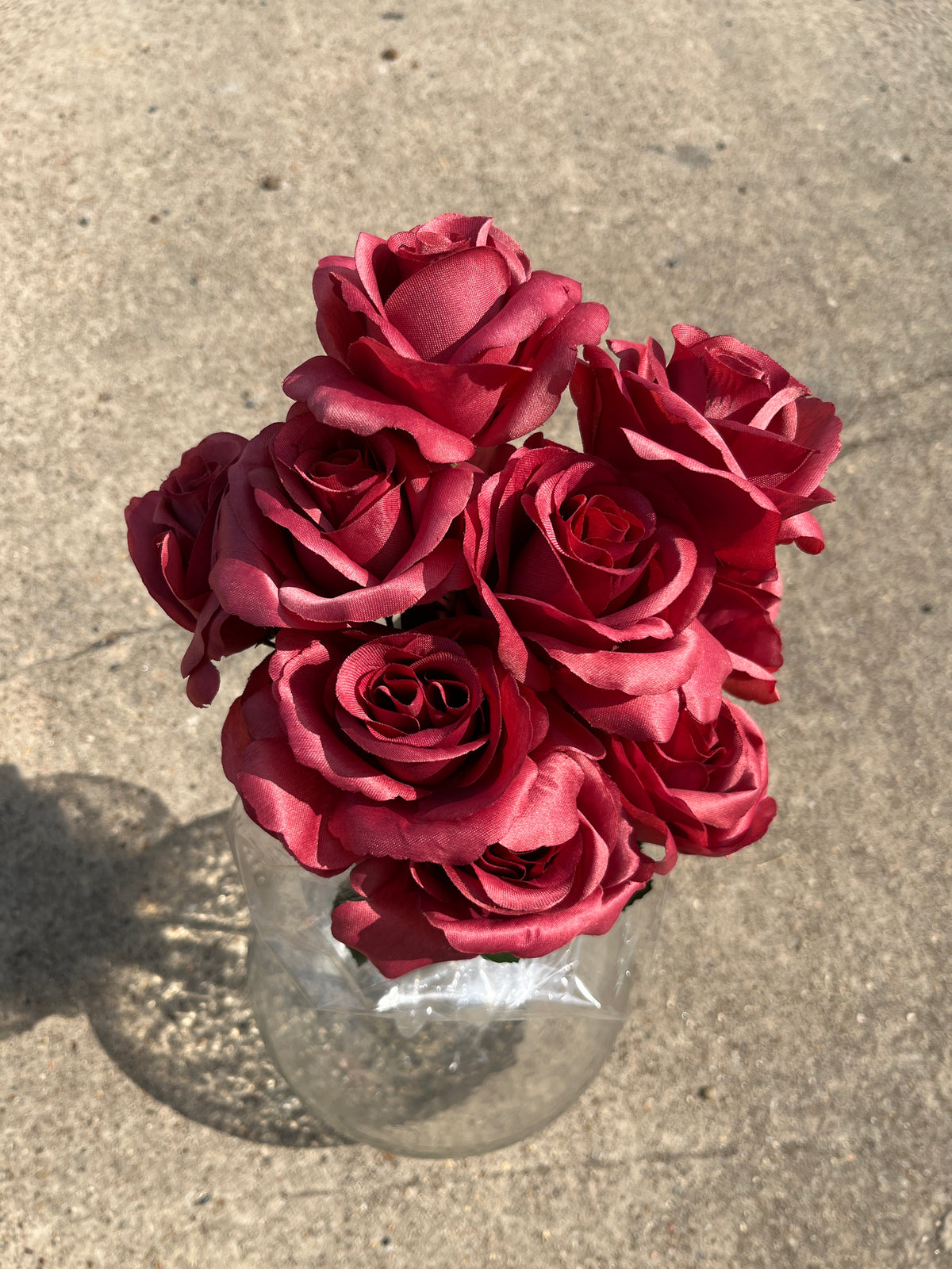 Color Fast Lillian Open Rose Bush x 12 - 30388RSBN