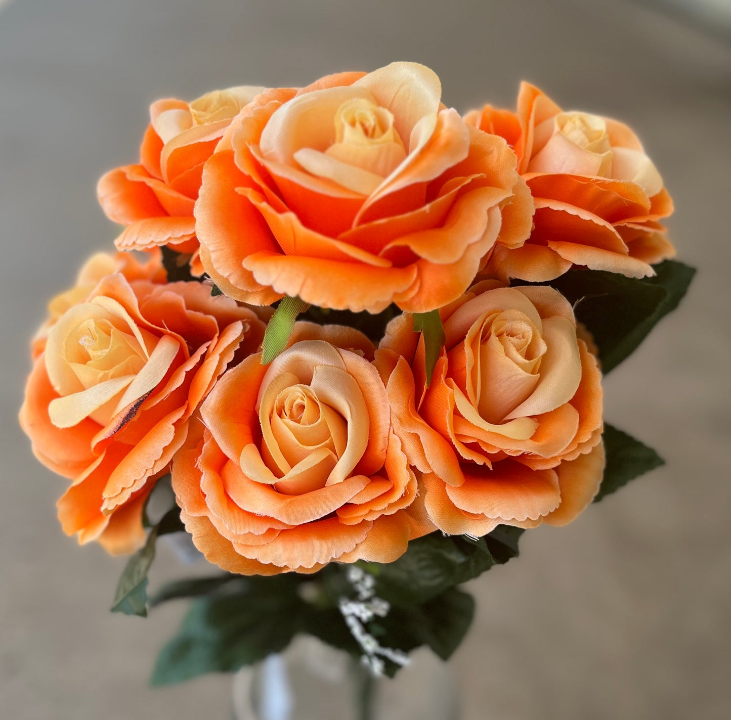FANCY ROSE X 9-OR-45503