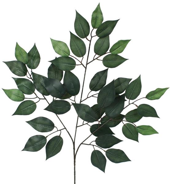 23"L GREEN FICUS SPRAY - 1 DOZEN - FG505430