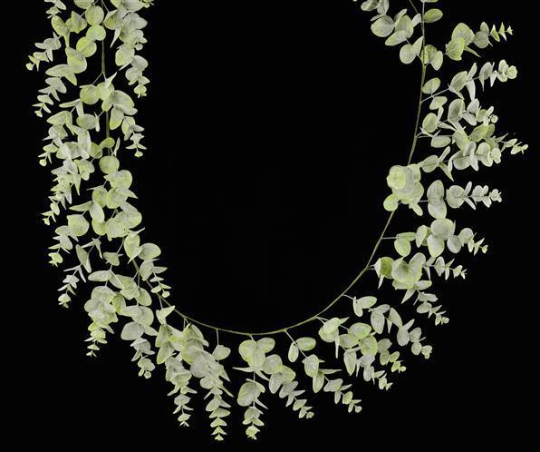 6'L SPIRAL EUCALYPTUS GARLAND - FG637731