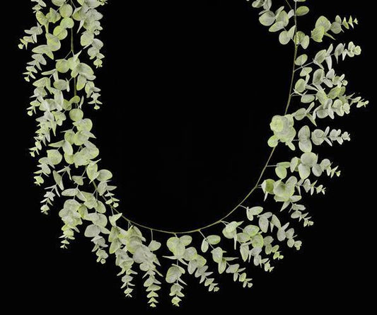 6'L SPIRAL EUCALYPTUS GARLAND - FG637731