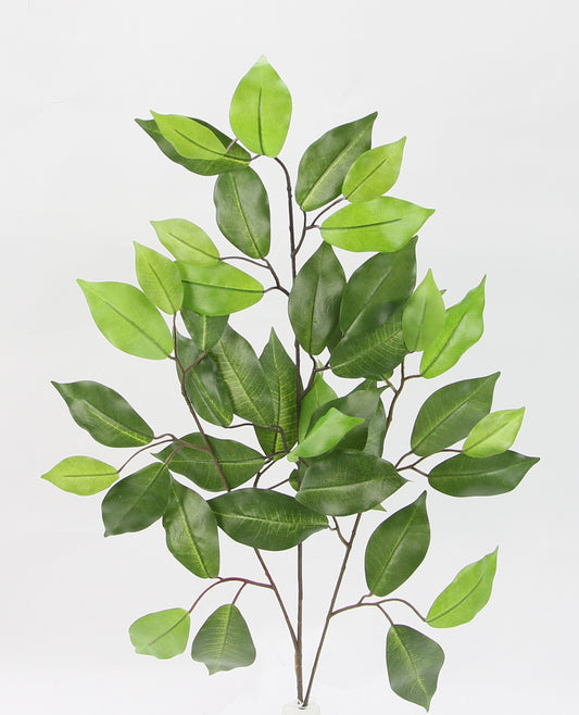 24" PREMIUM FICUS SPRAY X 3 W/42 LVS - GG24601-GREEN