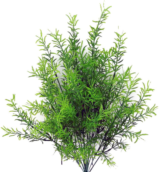 SPRINGERI BUSH X 14 - GG3601-GREEN