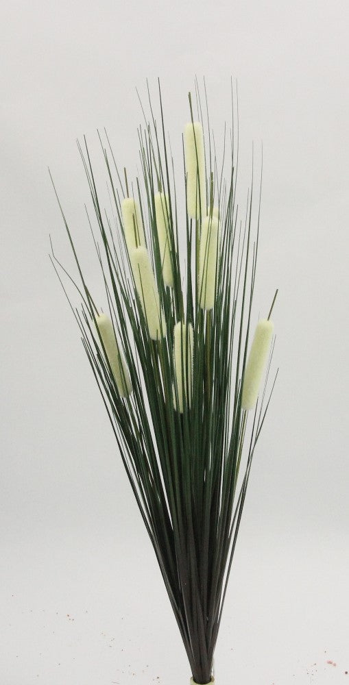 24.5" CATTAIL X 9 - GPB20453 - CREAM