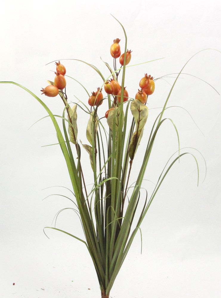 27" LOGAN BERRY X 5 - GPB20458 - ORANGE