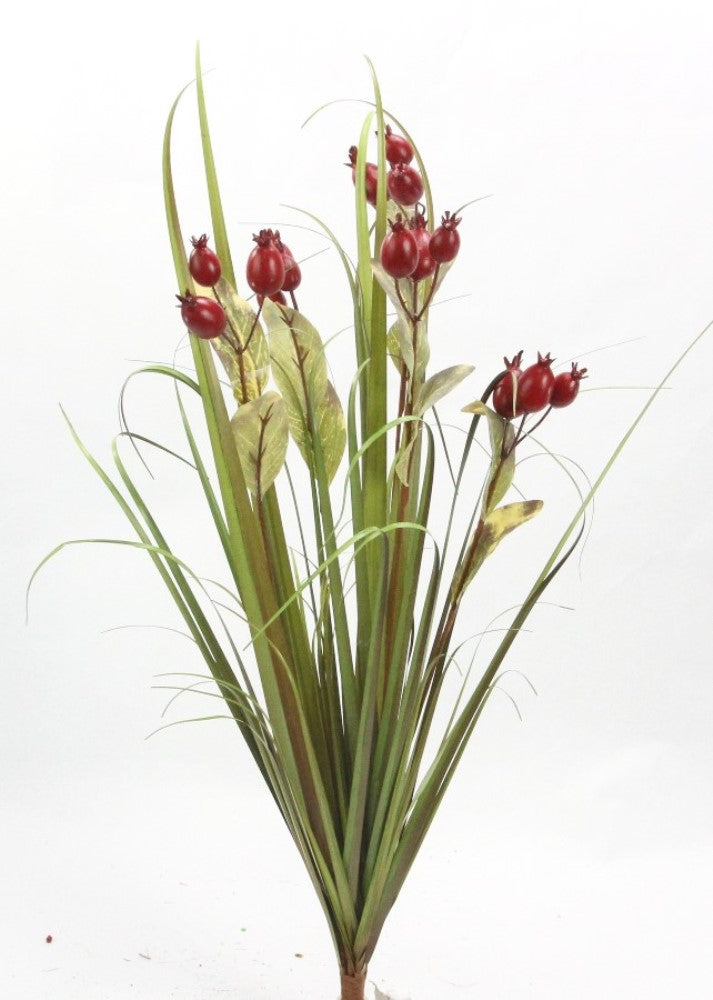 27" LOGAN BERRY X 5 - GPB20458 - RED