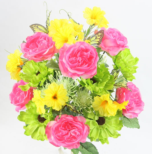 OPEN ROSE/COSMOS DAISY MIX BUSH X 24 - GPB22329-BT/KW/YW