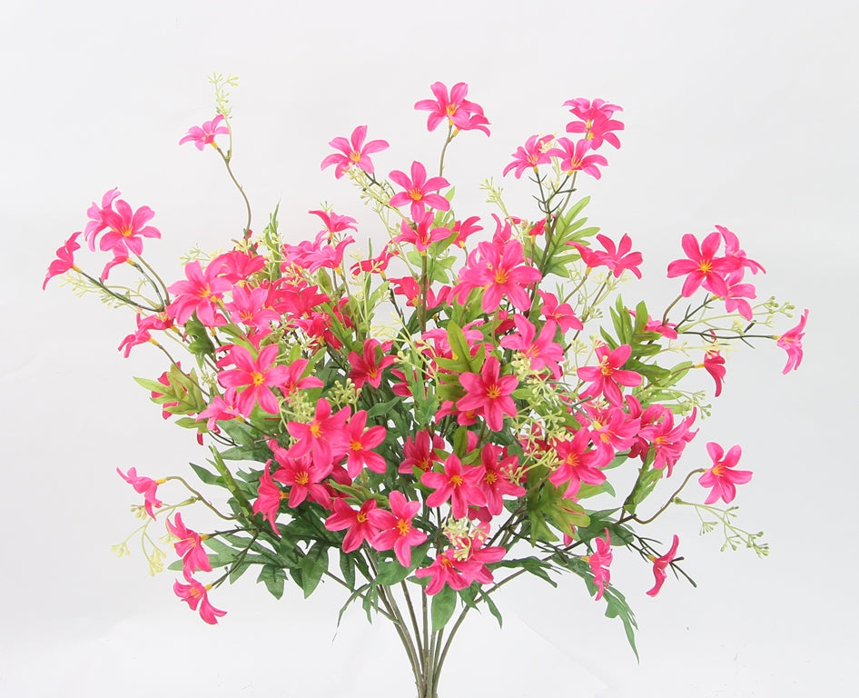25" STARDRIFT BUSH X 7-GPB24370-BEAUTY