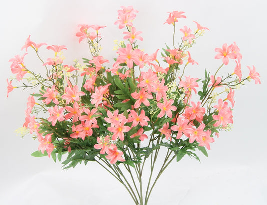 25" STARDRIFT BUSH X 7-GPB24370-CORAL
