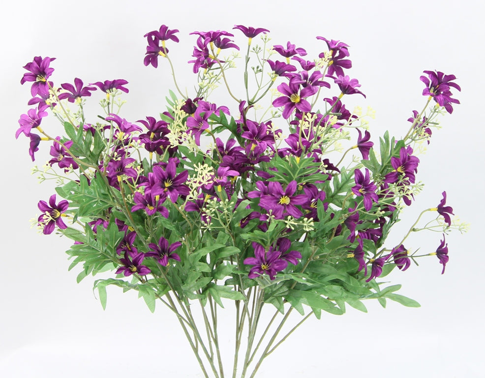 25" STARDRIFT BUSH X 7-GPB24370-GRAPE