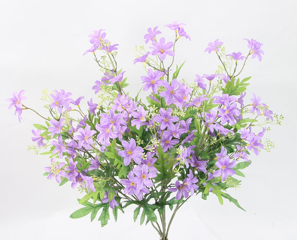 25" STARDRIFT BUSH X 7-GPB24370-LAVENDER