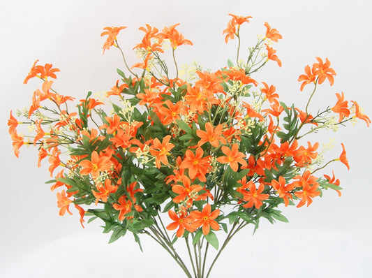 25" STARDRIFT BUSH X 7-GPB24370-ORANGE #2